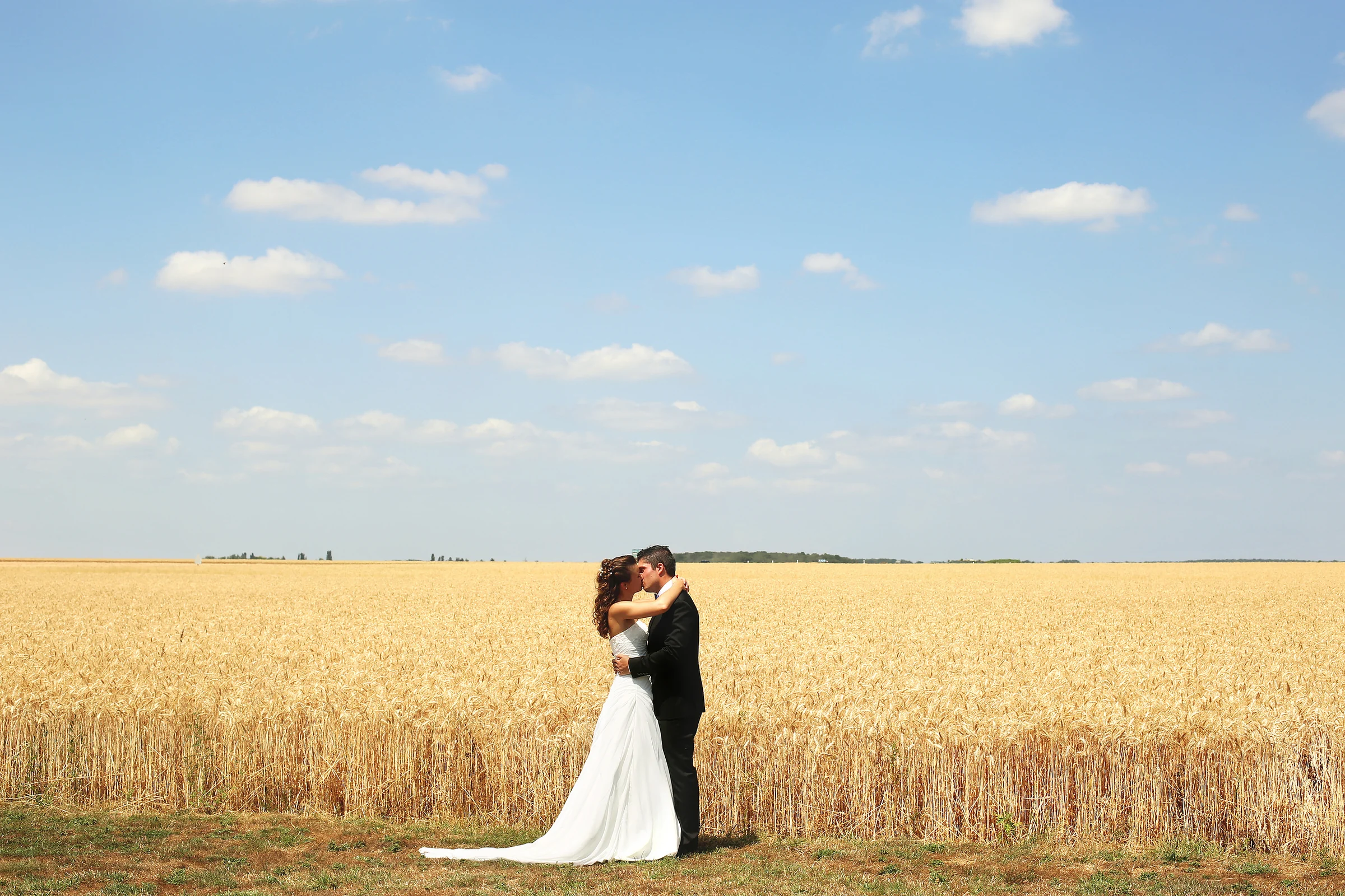 Un couple de mariés s’embrasse devant un champ doré sous un ciel bleu